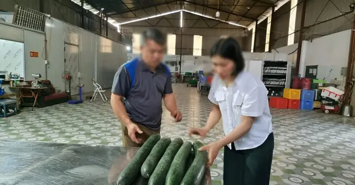 hối lộ thực phẩm trường học