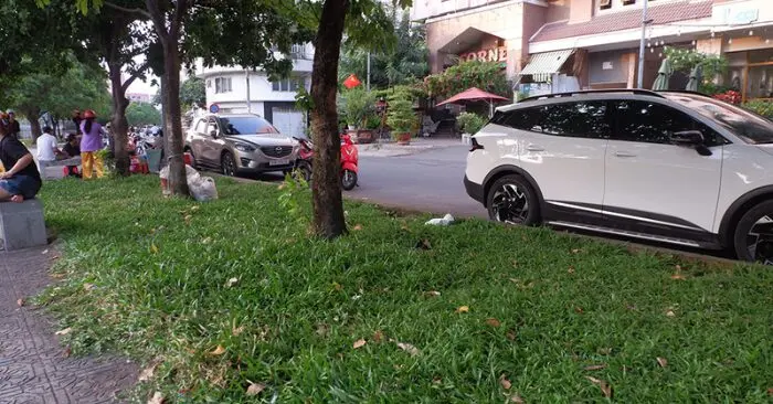 Người phụ nữ đâm bạn trai