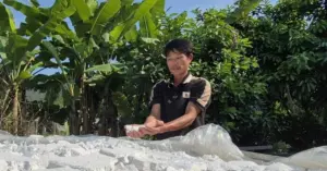 tinh bột sắn dây