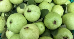 Các loại trái cây cho người tiểu đường