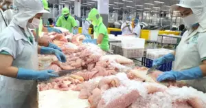 Xuất khẩu cá tra