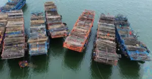 tàu câu mực