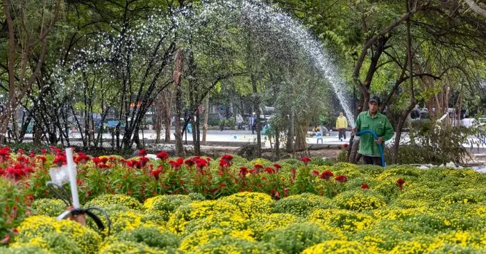 hạn chế chung cư