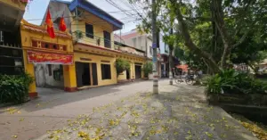 đường làng
