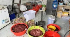 thịt bò giả