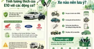xăng sinh học E10