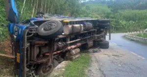Tai nạn đèo Violak