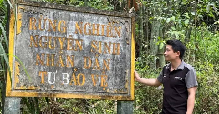 rừng nghiến Đông Đằng