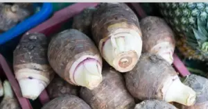 Lợi ích của khoai môn