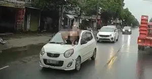 nằm trên kính chắn gió