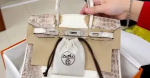Túi Hermès Trương Mỹ Lan