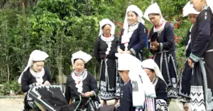 Dao Tiền