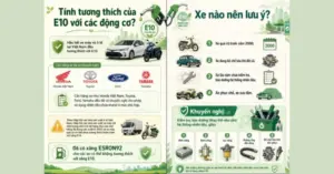 xăng sinh học E10