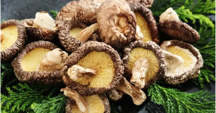 cách ngâm thực phẩm khô
