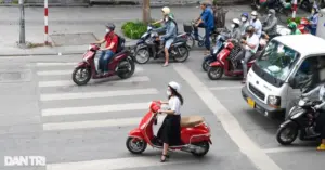 ô tô bị phạt nặng