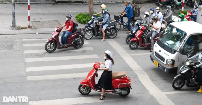 ô tô bị phạt nặng