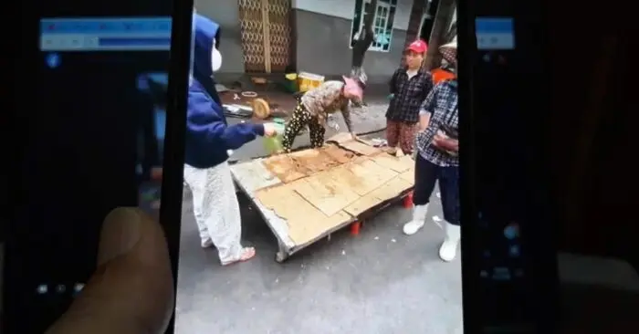 thịt lợn giả bò