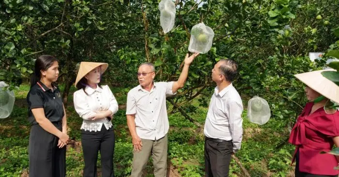 Xuất khẩu nông sản sang Trung Quốc bị siết chặt từ 1/6