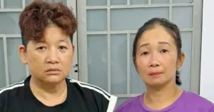 Tây Ninh phát hiện hơn 3 tấn bột ngọt, hạt nêm giả Ajinomoto, Knor