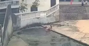 bé trai rơi xuống ao