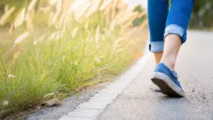 Đi bộ buổi sáng, trưa hay tối đều mang lại lợi ích sức khỏe. Tìm hiểu thời điểm phù hợp nhất với thể trạng và lịch sinh hoạt của bạn.