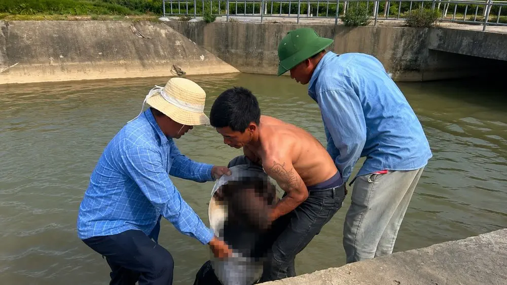 Nam thiếu niên 16 tuổi tử vong khi câu cá tại kênh Nông Giang, em trai chạy gọi người ứng cứu nhưng không kịp.