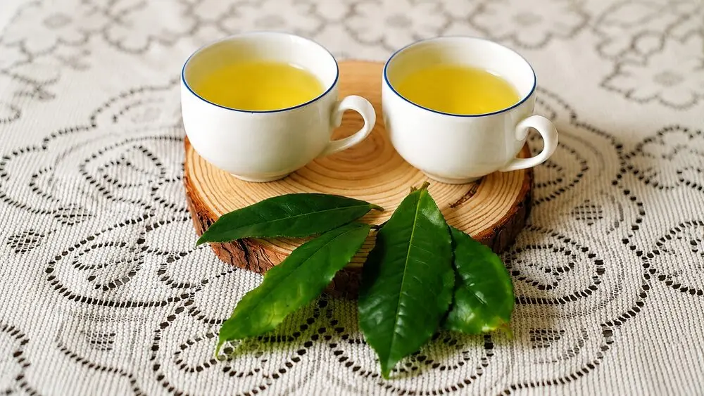 Uống trà xanh mỗi ngày ảnh hưởng thế nào đến cơ thể? Tìm hiểu lợi ích và những lưu ý khi sử dụng loại đồ uống phổ biến này.