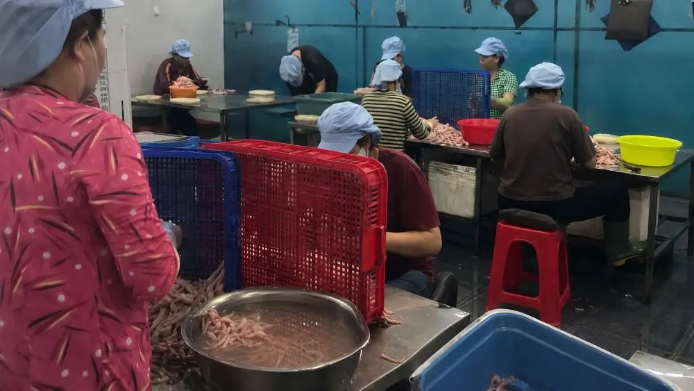 Đột kích công ty sản xuất chân gà rút xương ở Đồng Nai, lực lượng chức năng phát hiện hơn 7 tấn chân gà hết hạn, không rõ nguồn gốc.