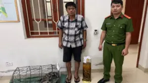 Người đàn ông bị khởi tố vì tàng trữ rượu ngâm tay gấu và nuôi nhốt cá sấu trái phép. Vụ việc đang được cơ quan công an điều tra.