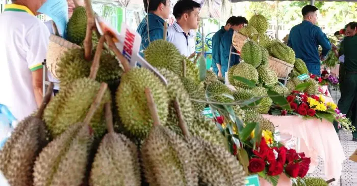 Sầu riêng miền Tây