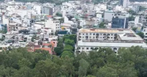 hố chôn liệt sĩ Công viên Lê Thị Riêng