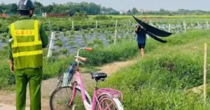 diều sáo gắn đèn