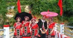 Cầu Dân trí Tuyên Quang
