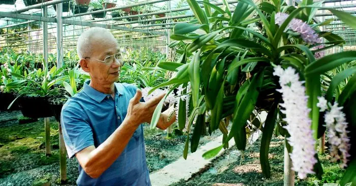 Thái Nguyên
