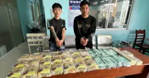đường dây ma túy