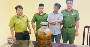 rắn hổ mang chúa