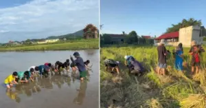 Lớp học mò cua bắt ốc