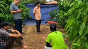 Phát hiện thi thể người phụ nữ trong rẫy cà phê ở Đắk Lắk lúc nửa đêm, cơ quan chức năng điều tra và làm rõ nguyên nhân vụ việc.