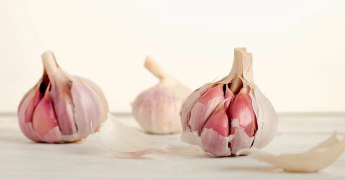sức khỏe dạ dày