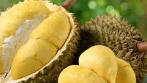 Ai nên thận trọng khi ăn sầu riêng? Tìm hiểu những nhóm người cần hạn chế loại quả này để bảo vệ sức khỏe và ăn đúng cách.