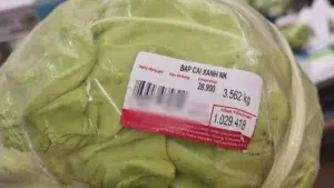 Cây bắp cải giá hơn 1 triệu đồng khiến một bà mẹ ở Hà Nội bất ngờ khi thanh toán. Xem nguyên nhân phía sau mức giá đặc biệt này.