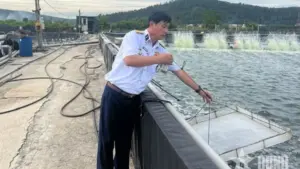 Cựu chiến binh Nguyễn Văn Kiên phát triển mô hình nuôi tôm công nghệ cao, tạo việc làm và nâng cao thu nhập tại Nghệ An.