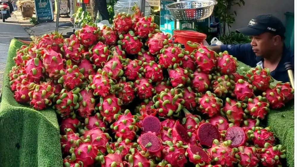 Giá thanh long tăng trở lại sau giai đoạn xuống đáy, giúp nhiều nông dân có lãi. Xem nguyên nhân và diễn biến thị trường.
