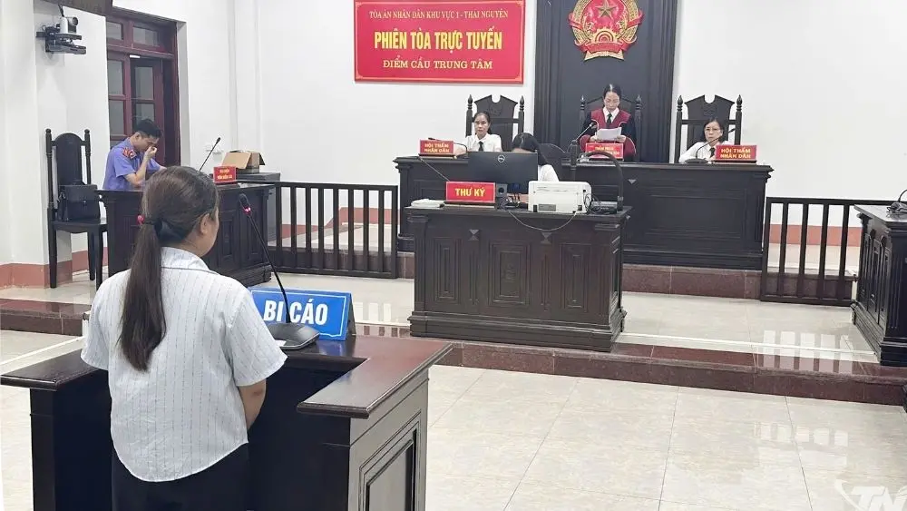 Lê Thị Thanh Hoa lĩnh án 12 tháng tù giam vì vi phạm quy định về tham gia giao thông đường bộ gây tai nạn chết người tại Thái Nguyên.