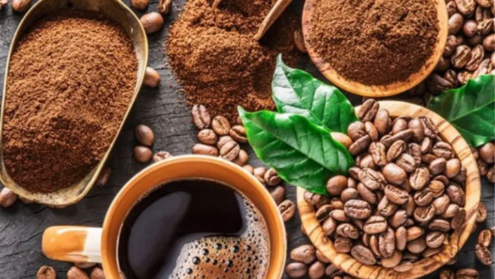 Uống cà phê buổi sáng có thể giúp giảm nguy cơ bệnh tim, đột quỵ và mang lại nhiều lợi ích sức khỏe, theo nghiên cứu mới