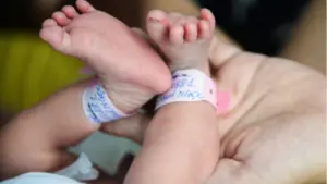 Bộ Y tế đề xuất hỗ trợ tài chính hằng tháng cho trẻ dưới 3 tuổi và mở rộng chính sách khuyến sinh, thu hút sự quan tâm của nhiều gia đình.