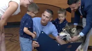 Khoảnh khắc chó Husky dũng cảm đuổi gấu để bảo vệ cậu chủ gây chú ý, cho thấy bản năng trung thành của loài chó.