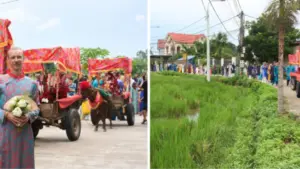 Chú rể Pháp rước dâu bằng xe ngựa tại Thái Nguyên, tạo dấu ấn với lễ hỏi đậm nét văn hóa truyền thống Việt Nam.