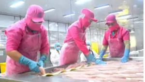 Xuất khẩu thủy sản Việt Nam hướng mục tiêu 12 tỷ USD năm 2026, cần duy trì kim ngạch trên 1 tỷ USD mỗi tháng trong nửa cuối năm.