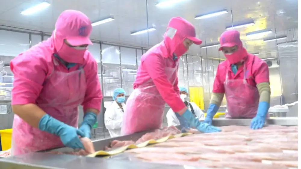 Xuất khẩu thủy sản Việt Nam hướng mục tiêu 12 tỷ USD năm 2026, cần duy trì kim ngạch trên 1 tỷ USD mỗi tháng trong nửa cuối năm.